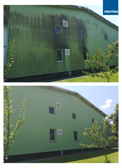Uklanjanje algi i gljivica sa fasada